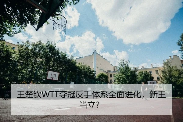 wang-chu-qin-duo-guan-fan-shou-ti-xi-quan-mian-jin-hua-xin-wang-dang-li-2-582.jpg
